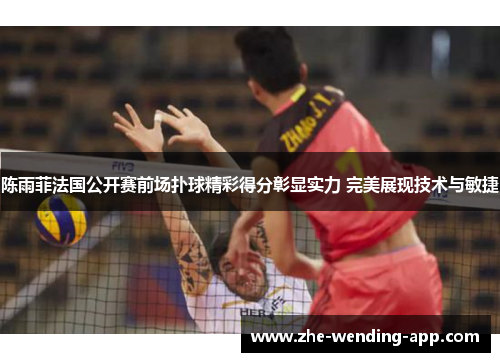 陈雨菲法国公开赛前场扑球精彩得分彰显实力 完美展现技术与敏捷