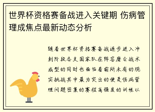世界杯资格赛备战进入关键期 伤病管理成焦点最新动态分析